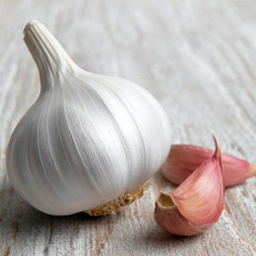 чеснок 